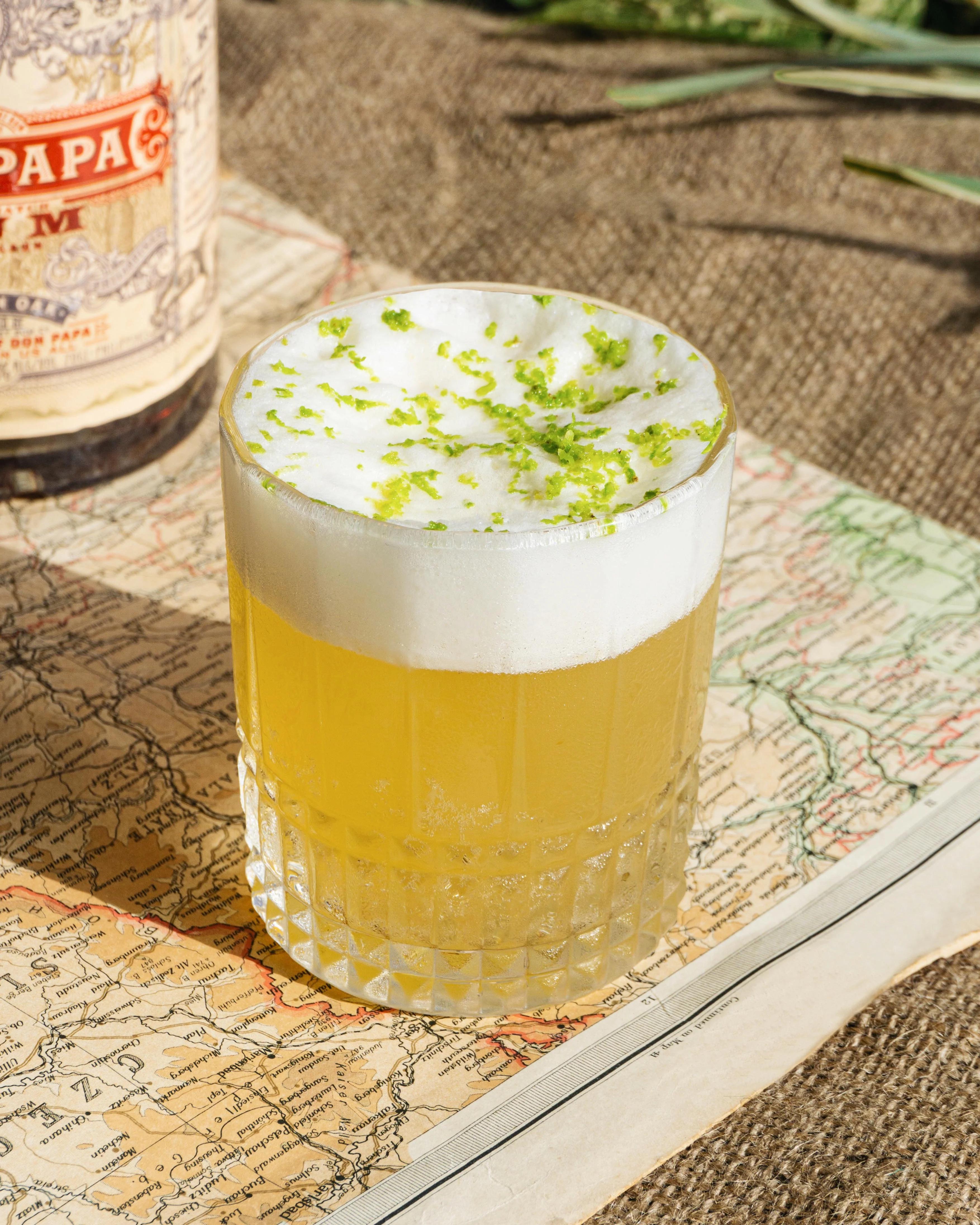 Negrense Sour