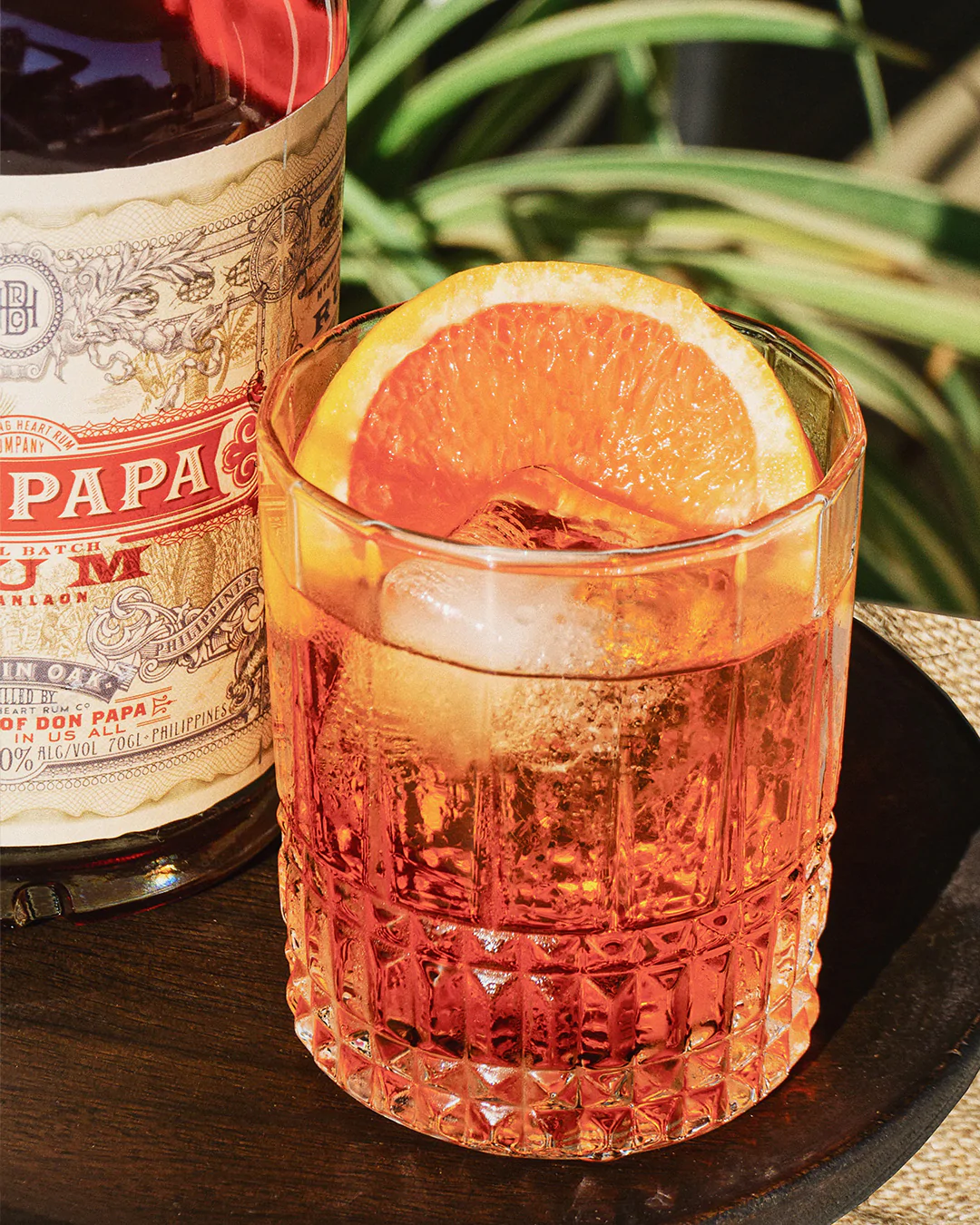 Papa Negroni