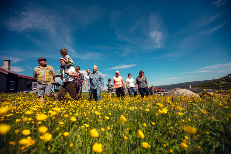 Åtte bønder fra Hol kommune har skapt et fellesskap og en ny samarbeidsform der ysting og stølsdrift står i sentrum. Foto: Bård Gundersen