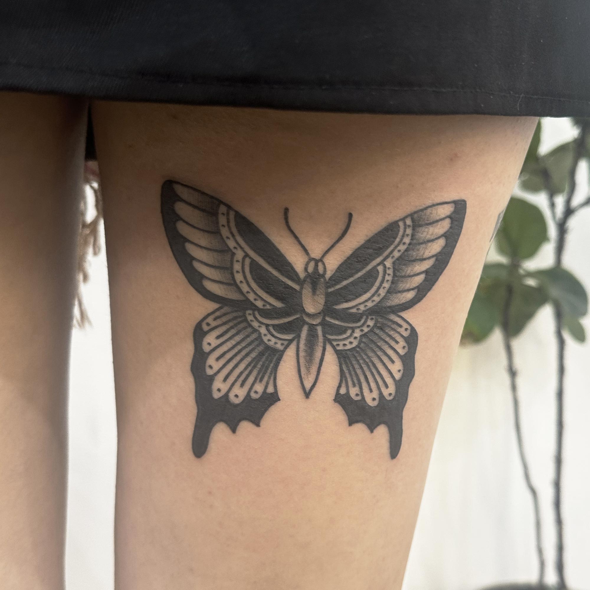 Black butterfly John