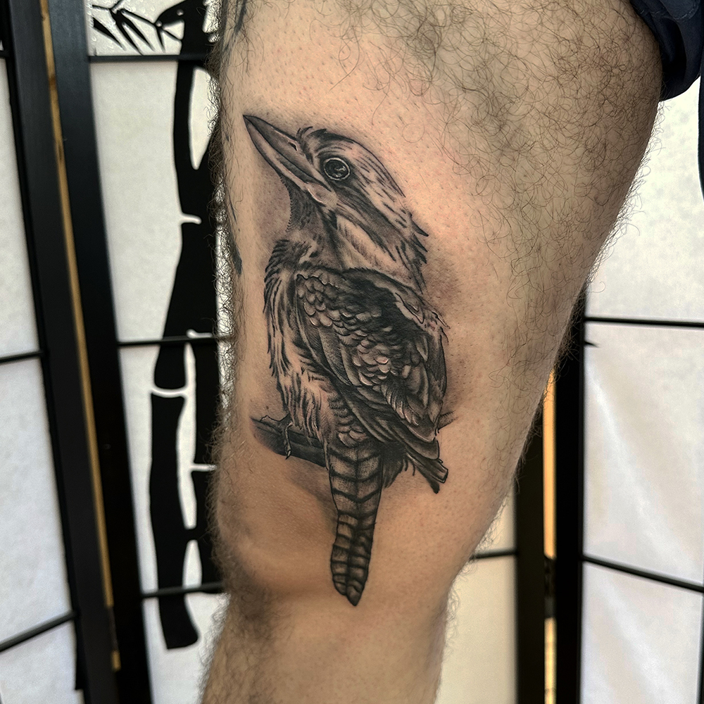 Realism Kookaburra