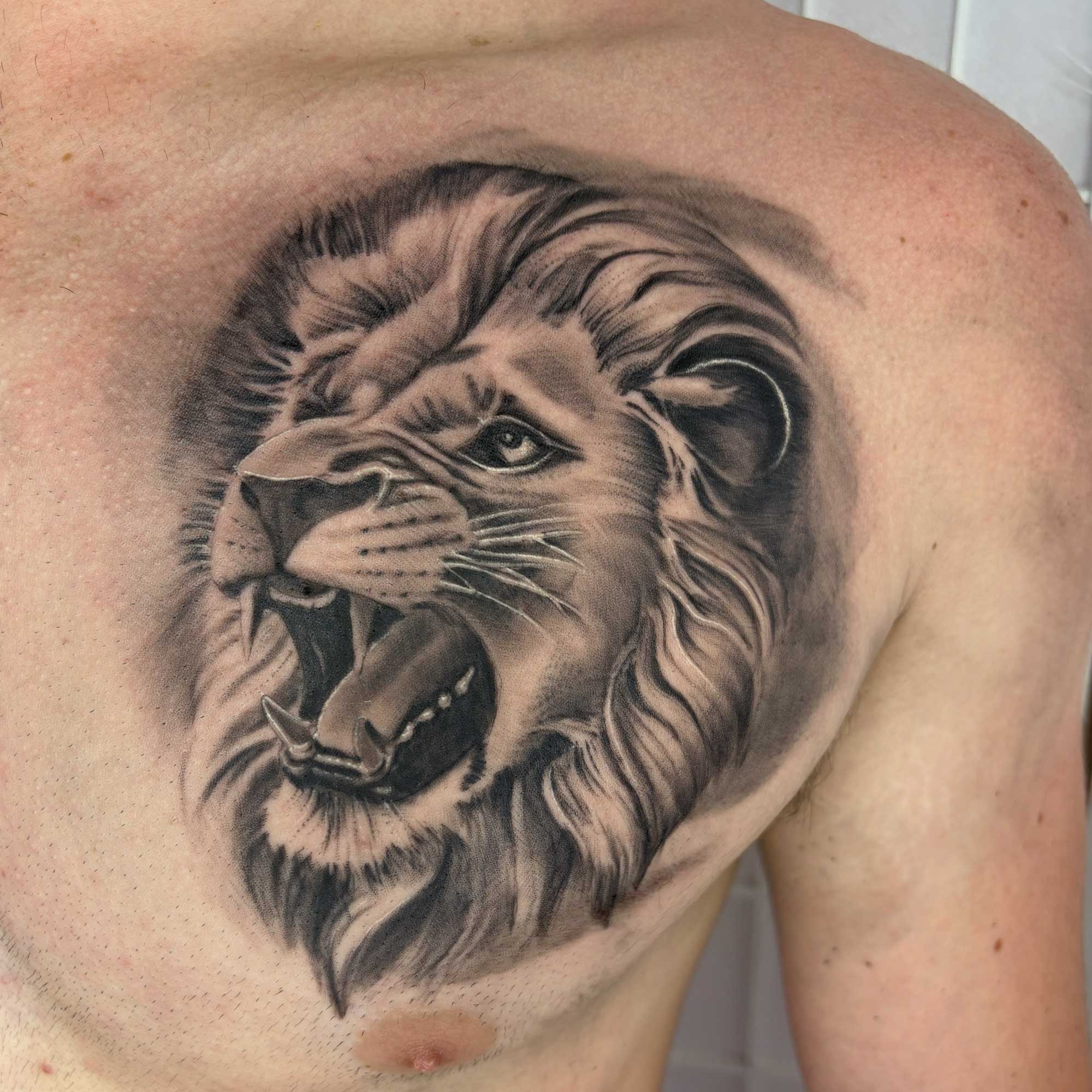 Lion