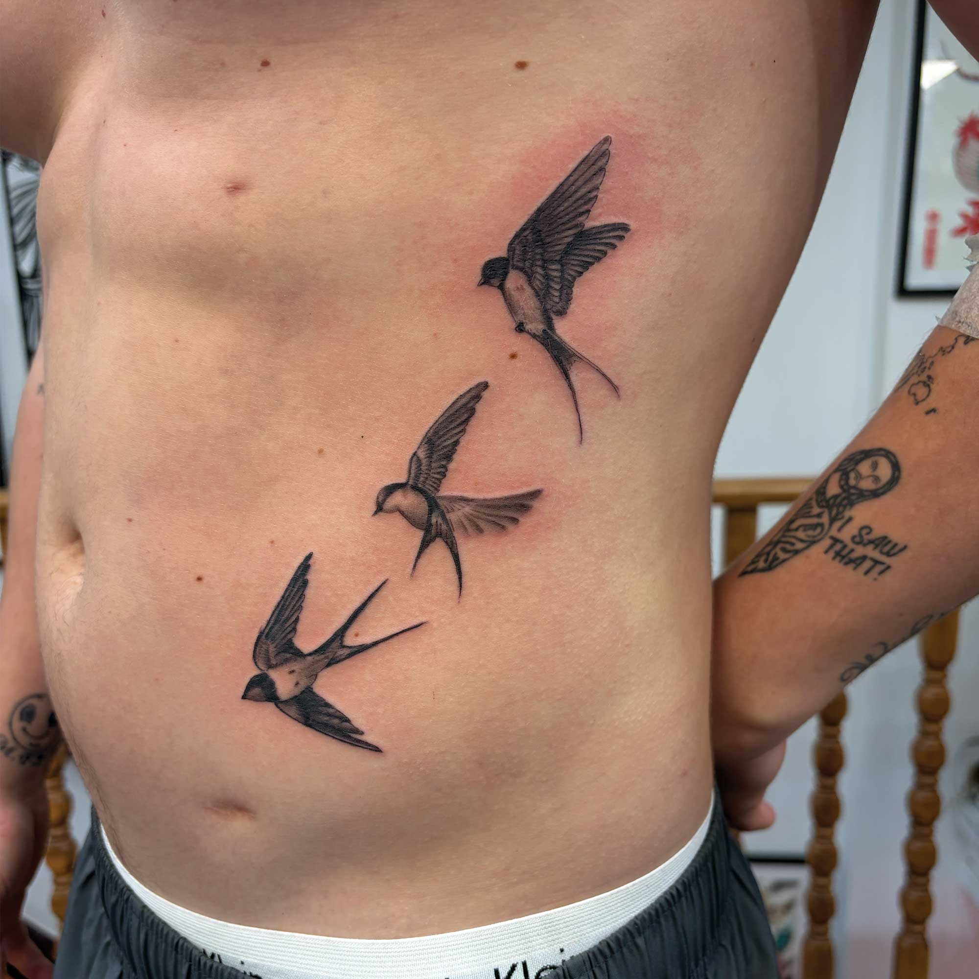 Swallows