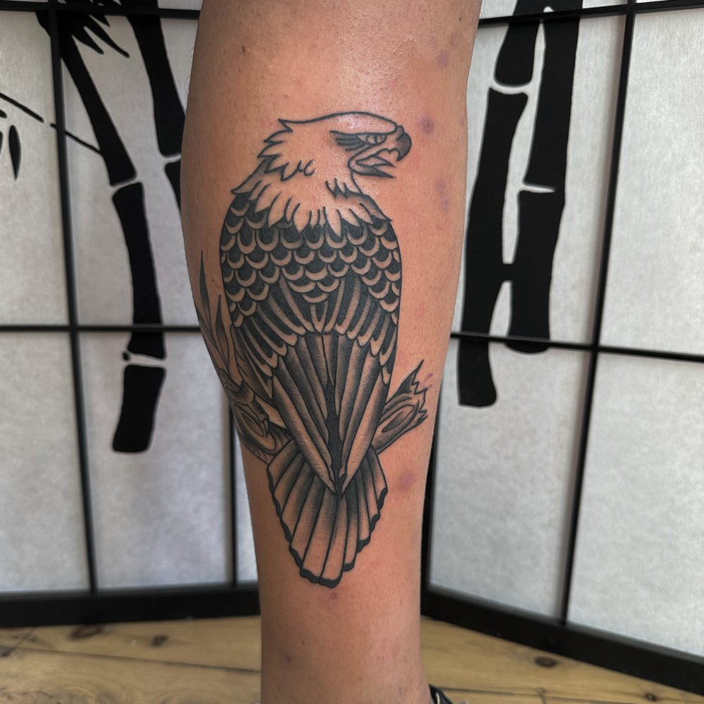 Traditional Eagle