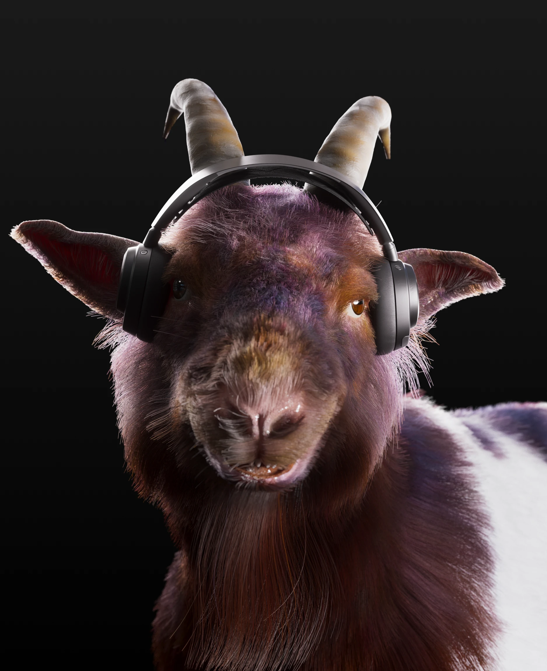A picture of a goat with Arctis Nova Pro Wireless headphones on its ears