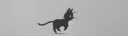 running little cat.