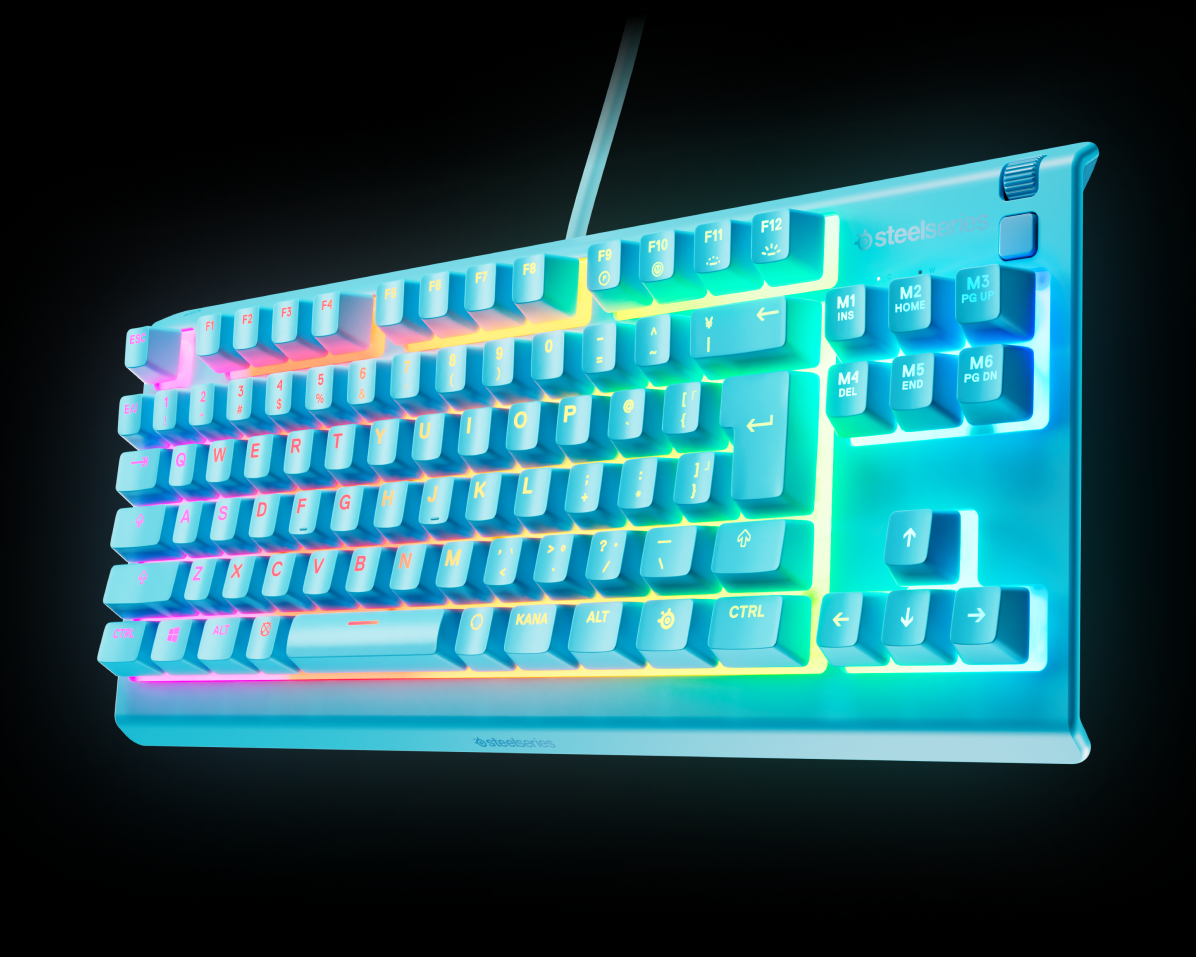 s*r様 Steelseries Apex 3 TKL Amazon.com: SteelSeries Apex 3 TKL RGB Gaming Keyboard