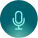 Microphone icon