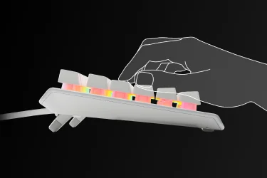使用 Apex 3 TKL 白色键盘的手部动画