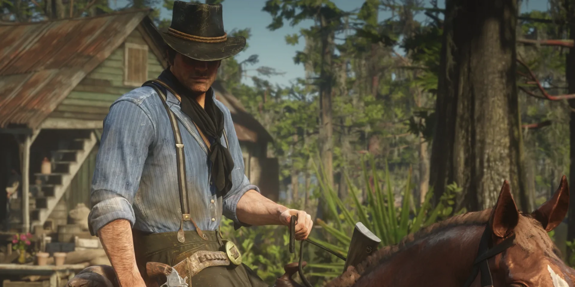 Cover Image for How Many Chapters Are in RDR2?