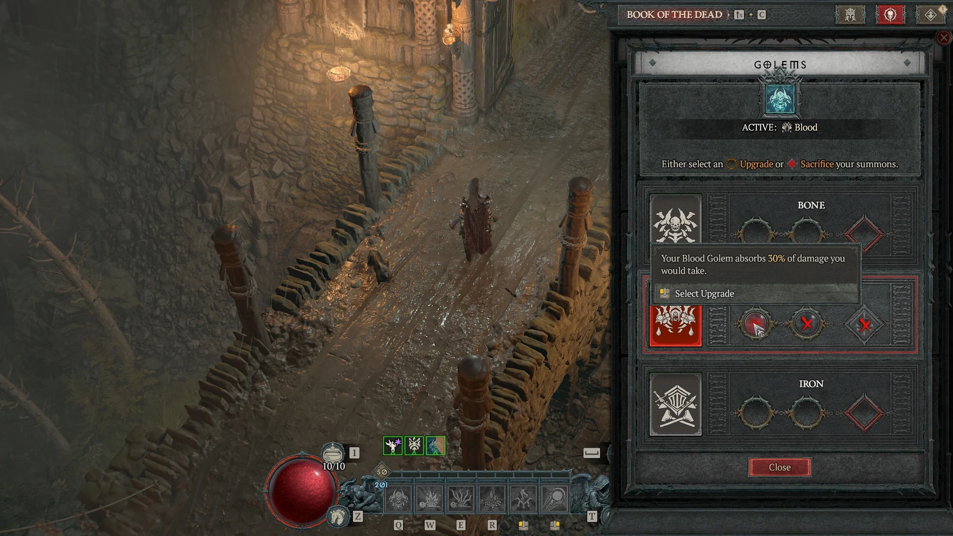 View of the menu from the Diablo IV game.