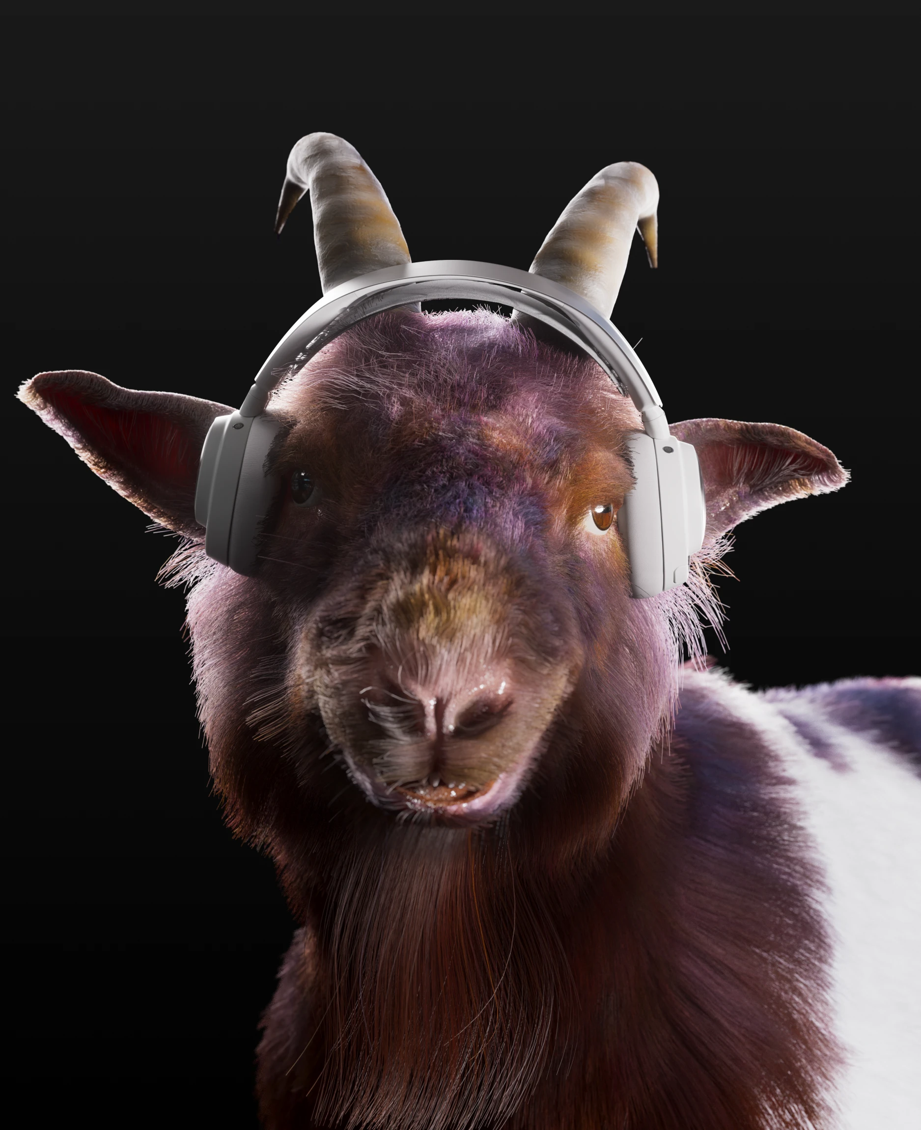 A picture of a goat with Arctis Nova Pro Wireless headphones on its ears