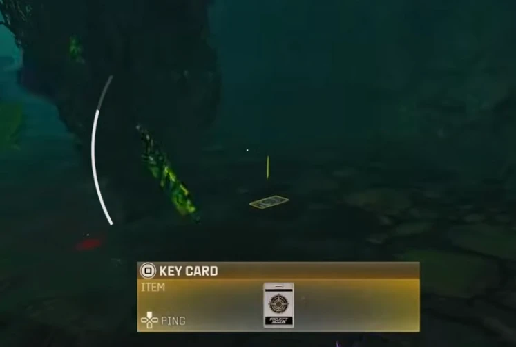 a keycard visible from the short distance, hidden underwater.