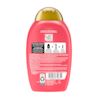 Back shot of OGX® Bond Protein Repair Conditioner, 385 mL bottle