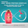 Front shot of OGX® Bond Protein Repair Shampoo bottle, 385 mL and illustration of molecules and infinity shaped tube at the background