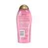 Rose Water & Pink Sea Salt Scrub & Wash Back of Packaging