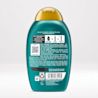 conditioner back PNG