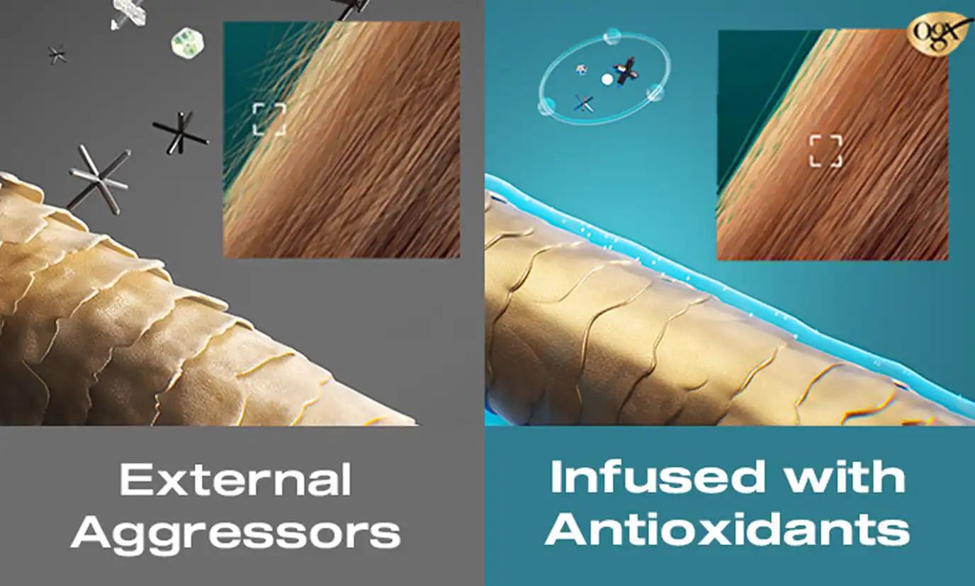 Image displaying the long lasting protection effects of OGX® Style Finishers infused with antioxidants on hair follicles against external aggressors
