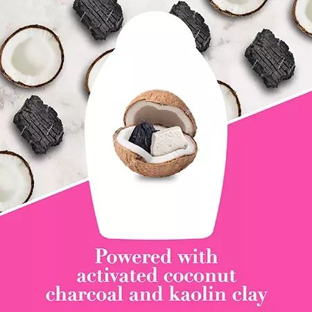 OGX Purifying + Charcoal Detox Shampoo - Image 7 - OGX - en-AE