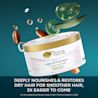 OGX RF Mask 062600844002 Sequence Priority 01 EN