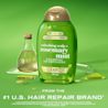 Front shot of OGX® Rosemary Mint Shampoo, 385 mL with lab tubes