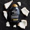 OGX Purifying + Charcoal Detox Shampoo - Image 8 - OGX - en-AE