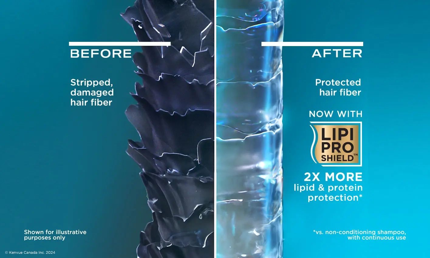 Demonstration of damaged and healthy hair fiber next to Lipi Pro Shield™ logo