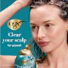 Image numérique améliorée du shampooing purifiant OGX® ProGrowth + Peptide, flacon de 385 ml.