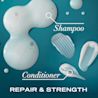 OGX Renewing+ Argan Oil of Morocco  Shampoo 577ml | OGX® Beauty