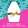 OGX Renewing + Argan Oil of Morocco Extra Penetrating Hair Oil - Image 4 - OGX - en-AE