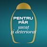Poza 4 COND