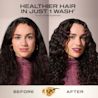 Coconut Milk Conditioner 385ml  | OGX® Beauty