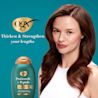 OGX® ProGrowth + Peptide Conditioner 385ml