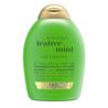 [DISCONTINUED] Teatree Mint Shampoo 13oz Front of Packaging