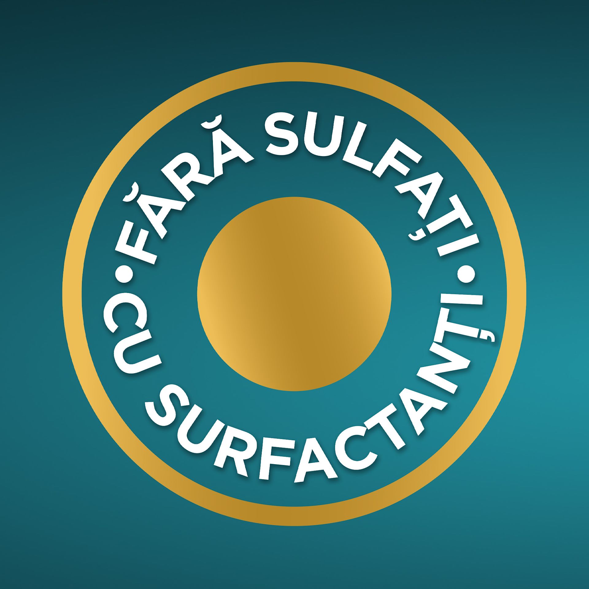 Poza 6