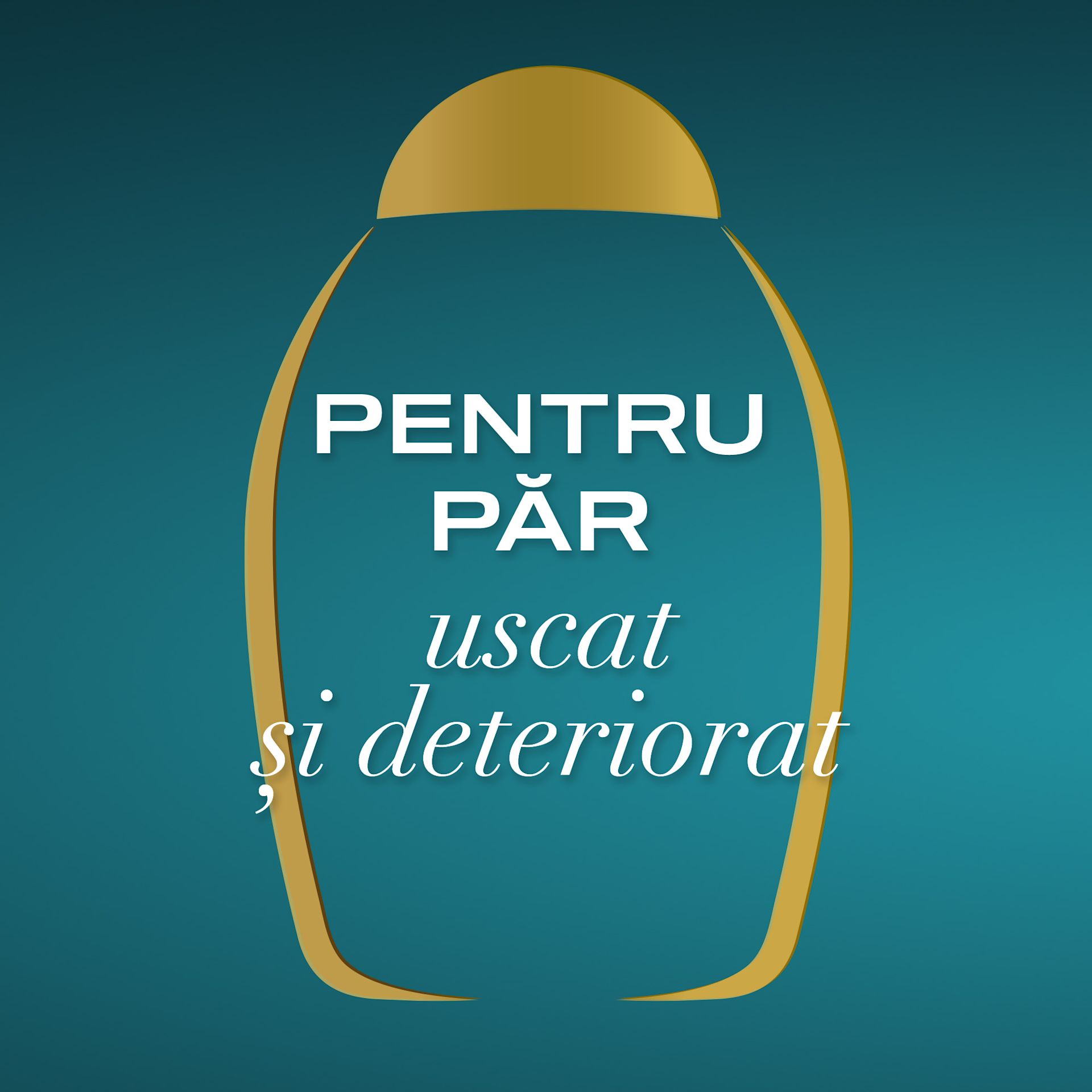 Poza 4