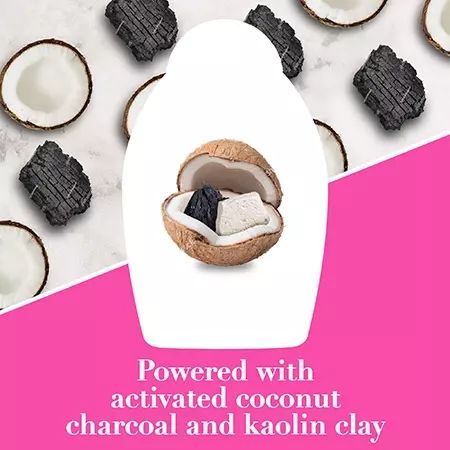 OGX Purifying + Charcoal Detox Shampoo - Image 3 - OGX - en-AE