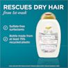 OGX RF Conditioner 062600826008 Sequence Priority 03 EN