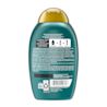 Photo de l’arrière du shampooing purifiant OGX® ProGrowth + Peptide, flacon de 385 ml. 