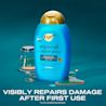 OGX Renewing+ Argan Oil of Morocco Shampoo 385ml | OGX® Beauty