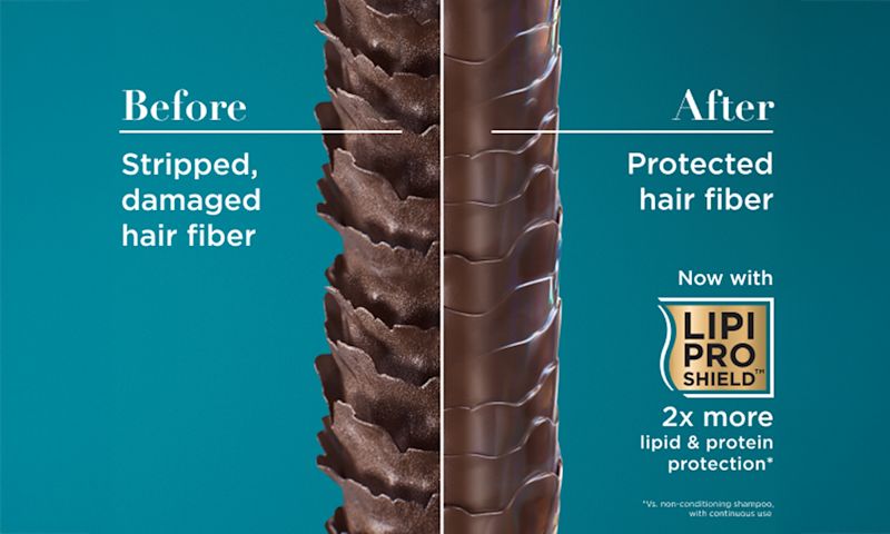 Before: Stripped damaged hair fiber. After: Protected hair fiber now with Lipi Pro Shield™ 2X more lipid & protein protection