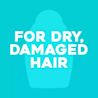 OGX Renewing + Argan Oil of Morocco Shampoo - Image 5 - OGX - ar-AE