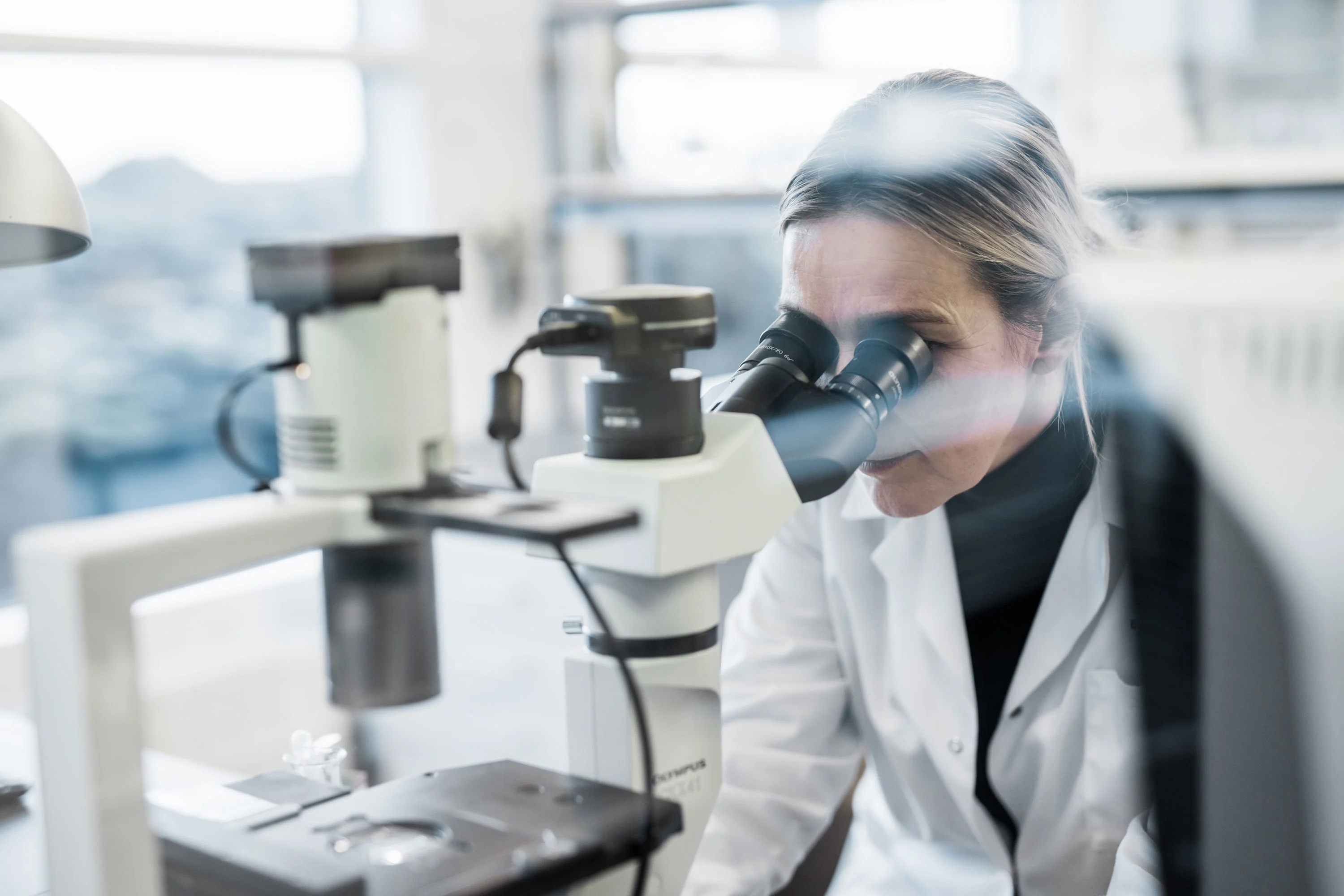 Asa in the lab