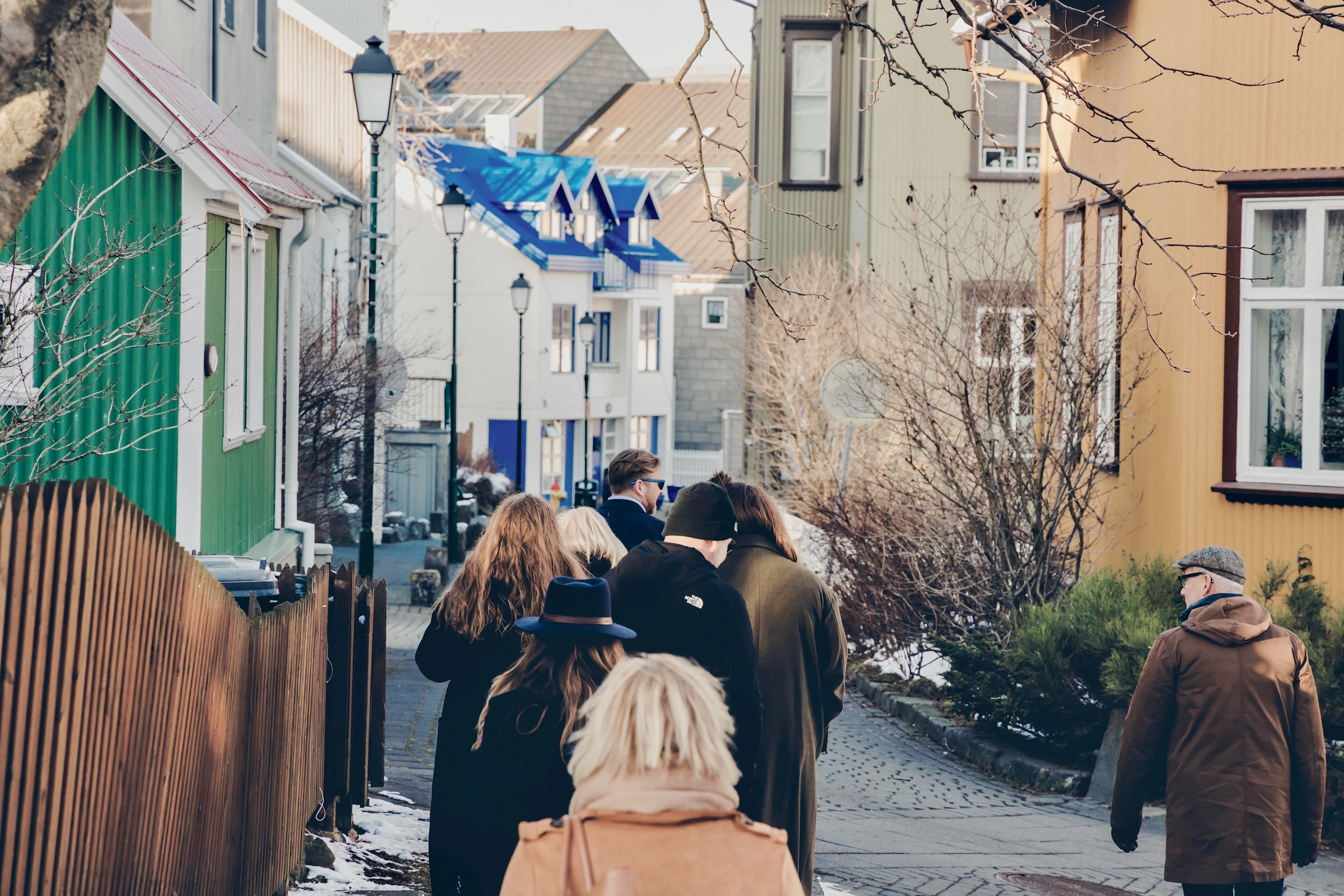Reykjavík food tour