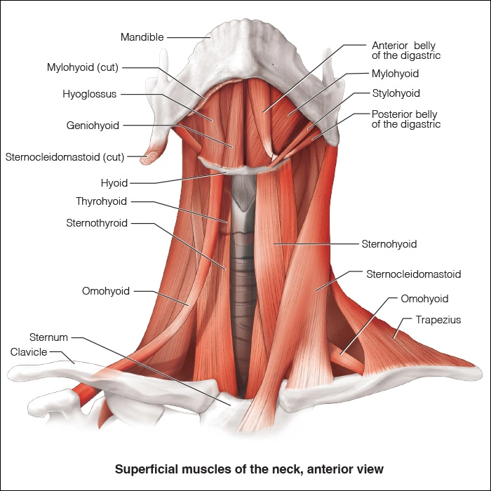 ce597 Appendix A