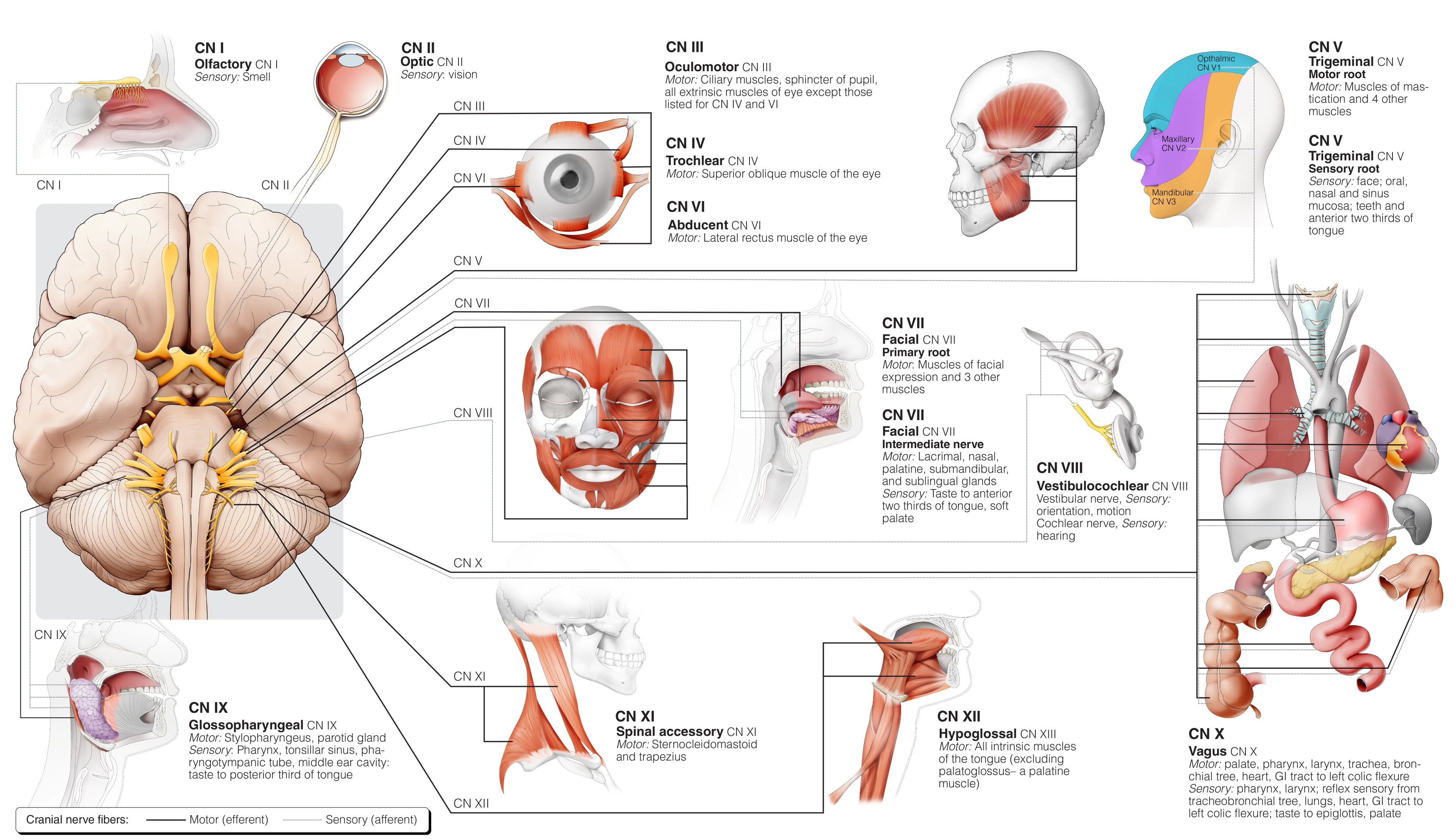 CE598 - Appendix P