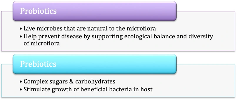 Chart comparing probiotics and prebiotics