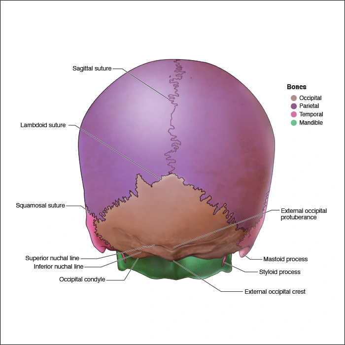 Appendices - Figure 6