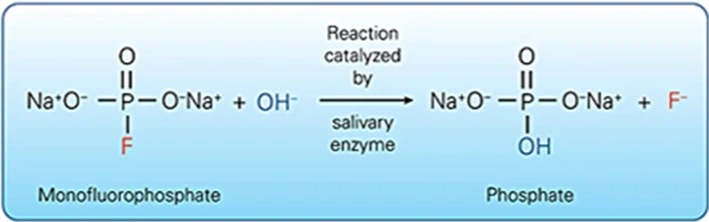 ce670 - Images - Fig. 11