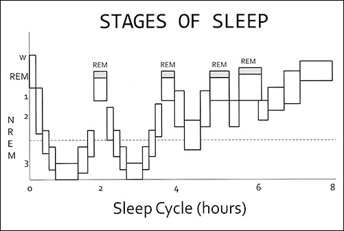 Sleep Architecture - Figure 1